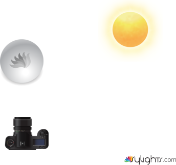 d[epfogidcfv by Guest User