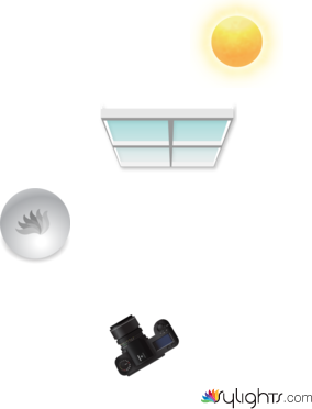 d[epfogidcfvsi by Guest User