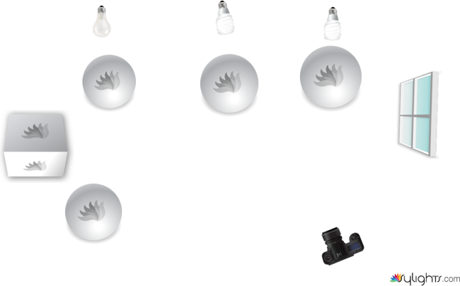 corporate by Guest User