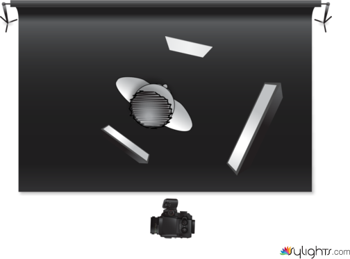 profile by Guest User