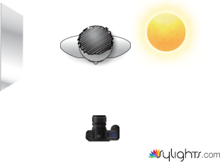 ñjknk by Guest User