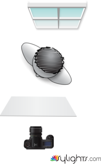 gjhgjng by Guest User