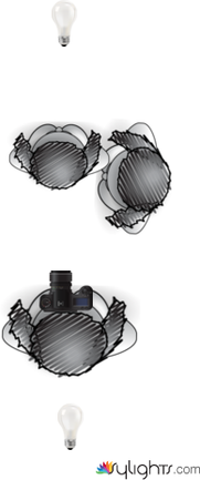 thfhhgfh by Guest User