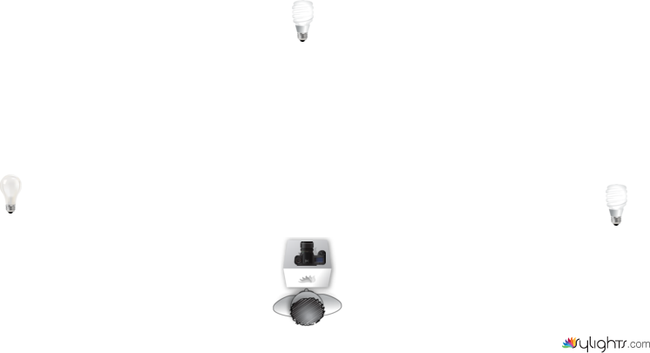 huyhiuyu by Guest User