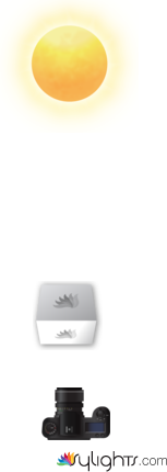 dcfghjmhgf by Guest User