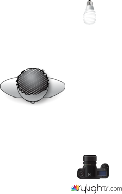 corpo 2 by Guest User