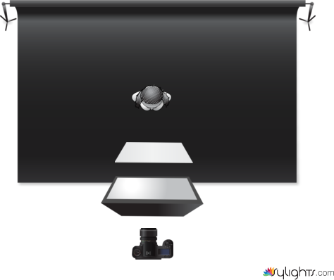 butterfly by Guest User