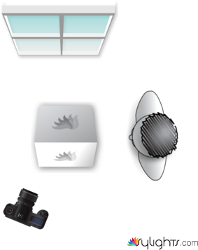 kjdnjkdh by Guest User