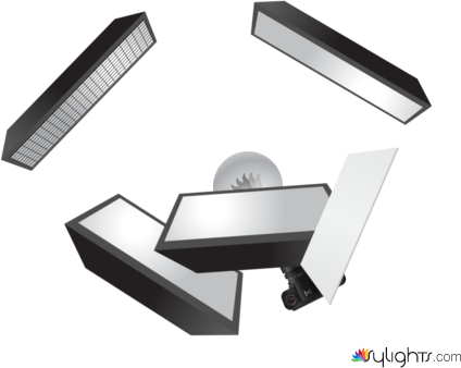 Fossil_Vert by Guest User