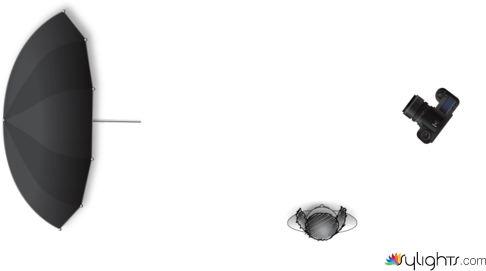 newborn by Guest User