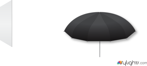 newborn by Guest User