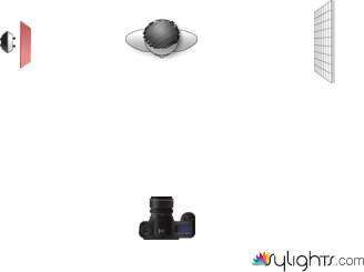 split_light by Guest User