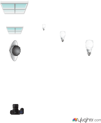 Fraser band by Guest User