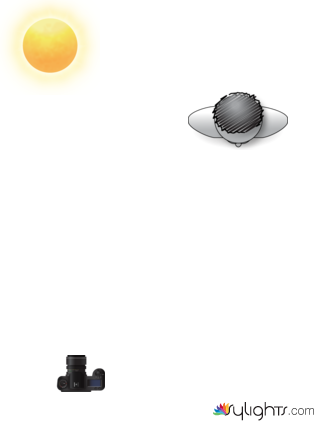 environment 2 by Guest User