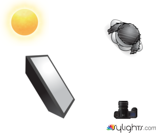 mnj,mn by Guest User