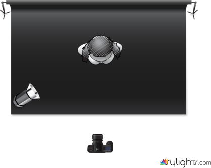 Rembrandt by Guest User