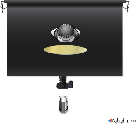 butterfly by Guest User