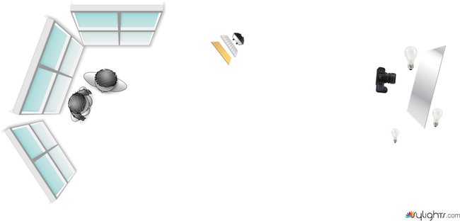 relection by Guest User