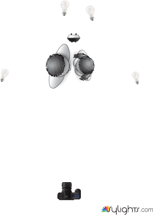 TREELIGHTS by Guest User