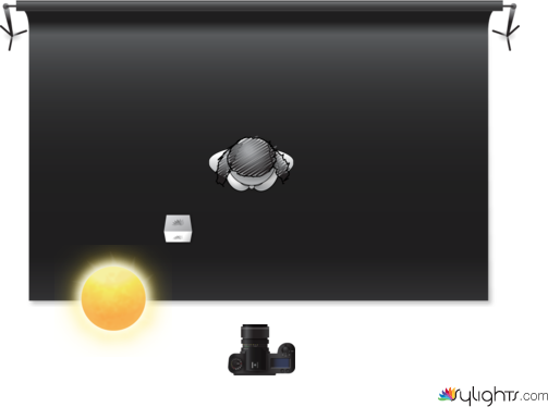 REMBRANDT LIGHTING AMAIA  by Guest User