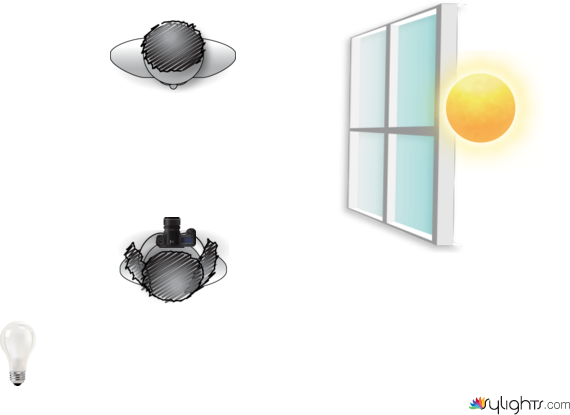 dijfjfngjf by Guest User