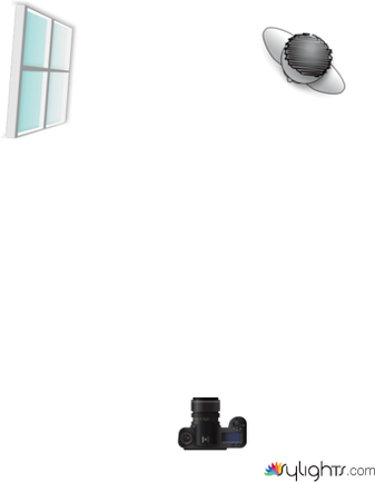 enviroment2 by Guest User