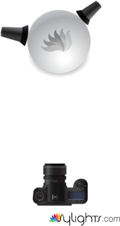 Macro  by Guest User