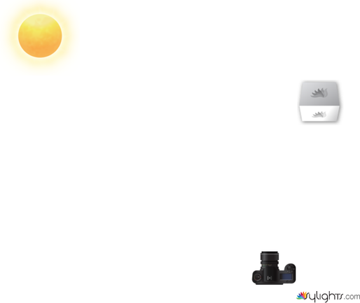 Infrared by Guest User