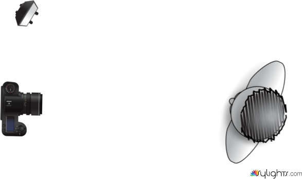 Butterfly Lighting by Guest User