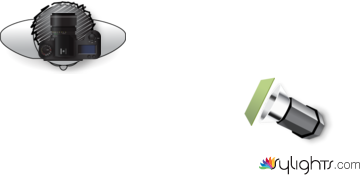 autoretrato by Guest User