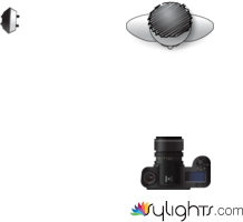 rembrandt by Guest User