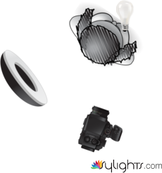 firast by Guest User