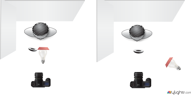 btrfly loop by Guest User