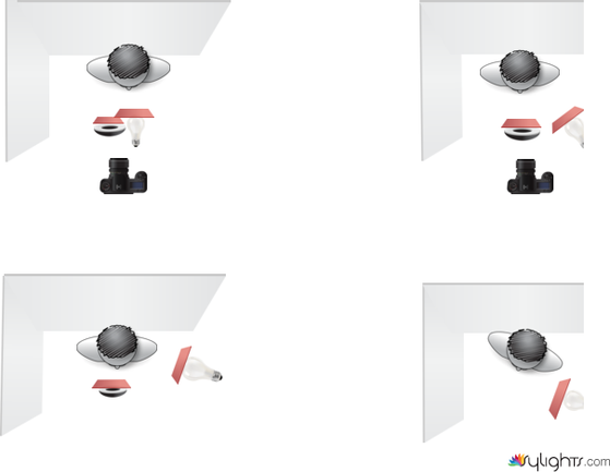 btrfly loop by Guest User