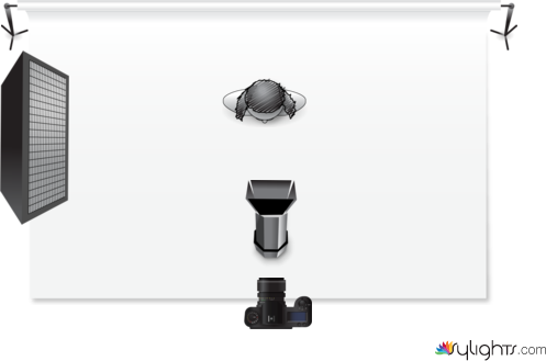 butterfly by Guest User