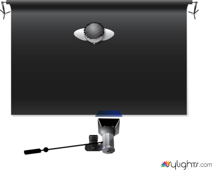 butterfly by Guest User