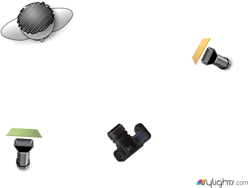 butterfly by Guest User