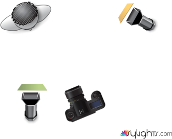 butterfly by Guest User