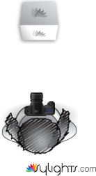 segdfgdfgdfg by Guest User