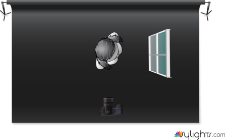 fuck this by Guest User