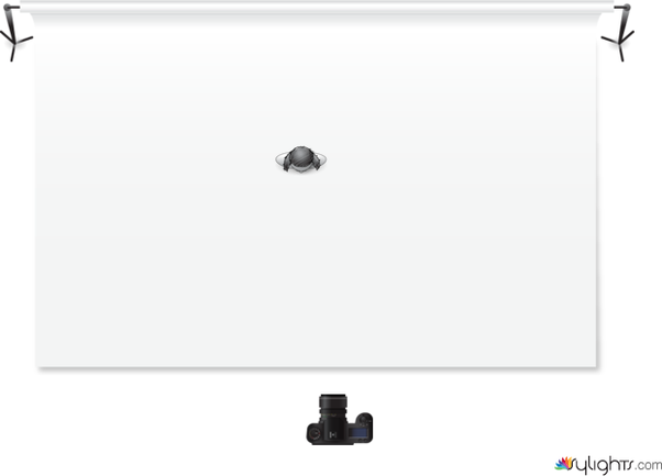 ellie photo by Guest User