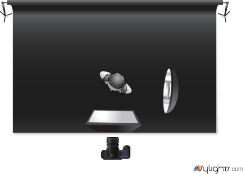 MODEL 1 by Guest User