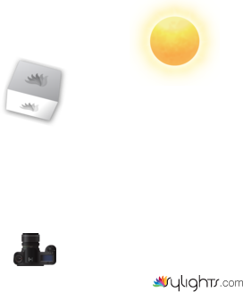 jig of death by Guest User