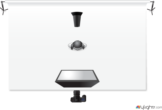 Butterfly light by Guest User