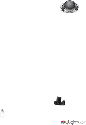 NanGoldin/Vivienne by Guest User