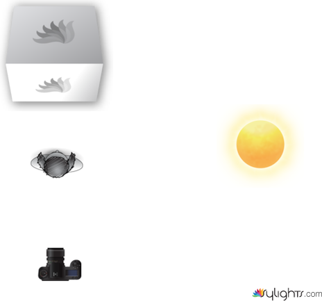 Final Project Plan by Guest User