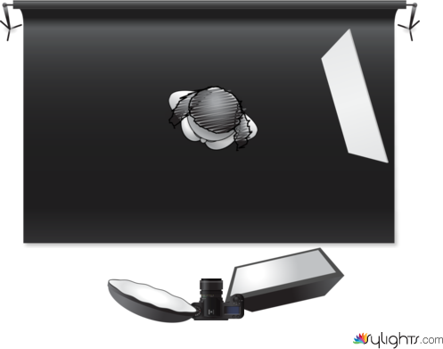 Clam Shell by Guest User