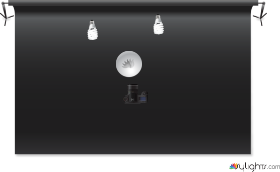 macro photo by Guest User