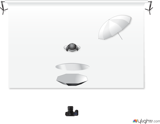 Clam Shell  by Guest User