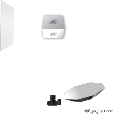 Mandarina_Foto 1 by Guest User